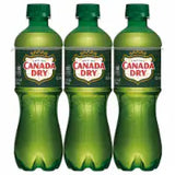 Ginger Ale Soda