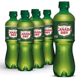 Ginger Ale Soda