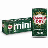 Ginger Ale Soda