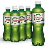 Ginger Ale Soda