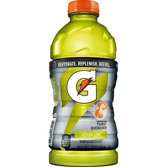 Gatorade Fruit Punch 28 Fl Oz