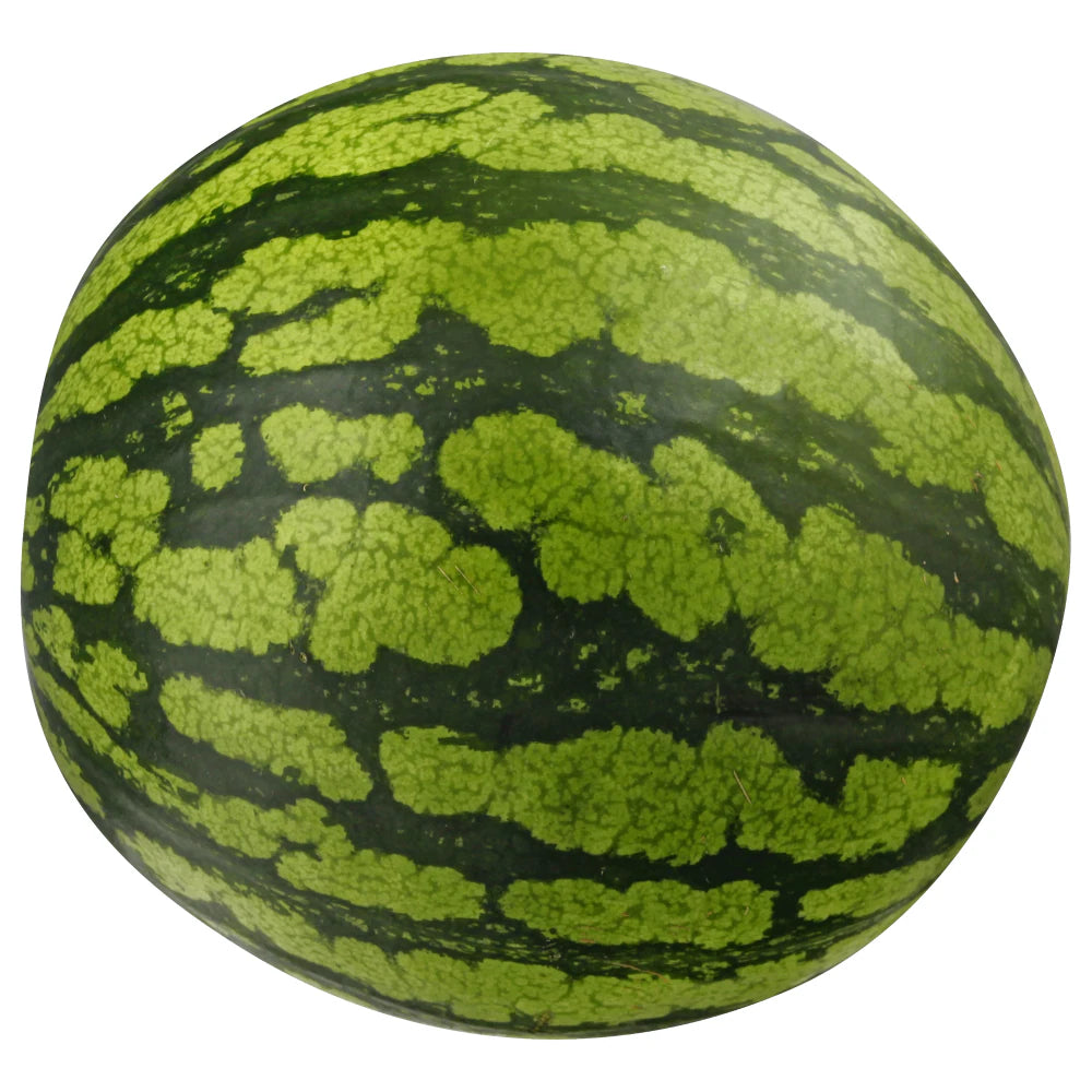 Mini Seedless Whole Watermelon