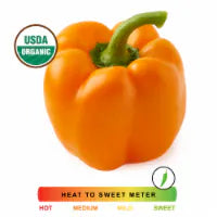 Organic Fresh Orange Bell Pepper