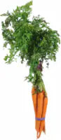 Organic Carrots & Squash