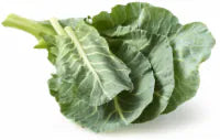 Organic Lettuce & Greens