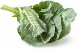Organic Lettuce & Greens