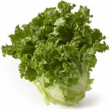 Organic Lettuce & Greens