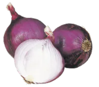 Organic Onions & Peppers