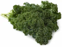 Organic Lettuce & Greens