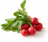 Organic Mushrooms Radishes & Green Onions