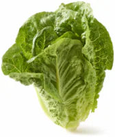 Organic Lettuce & Greens
