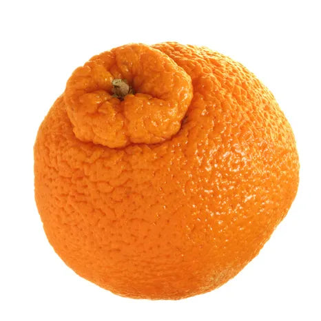 Sumo Mandarin