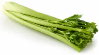 Celery