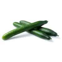 English Cucumber